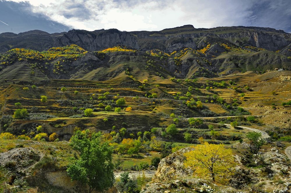 Photograph by Олег Корешонков