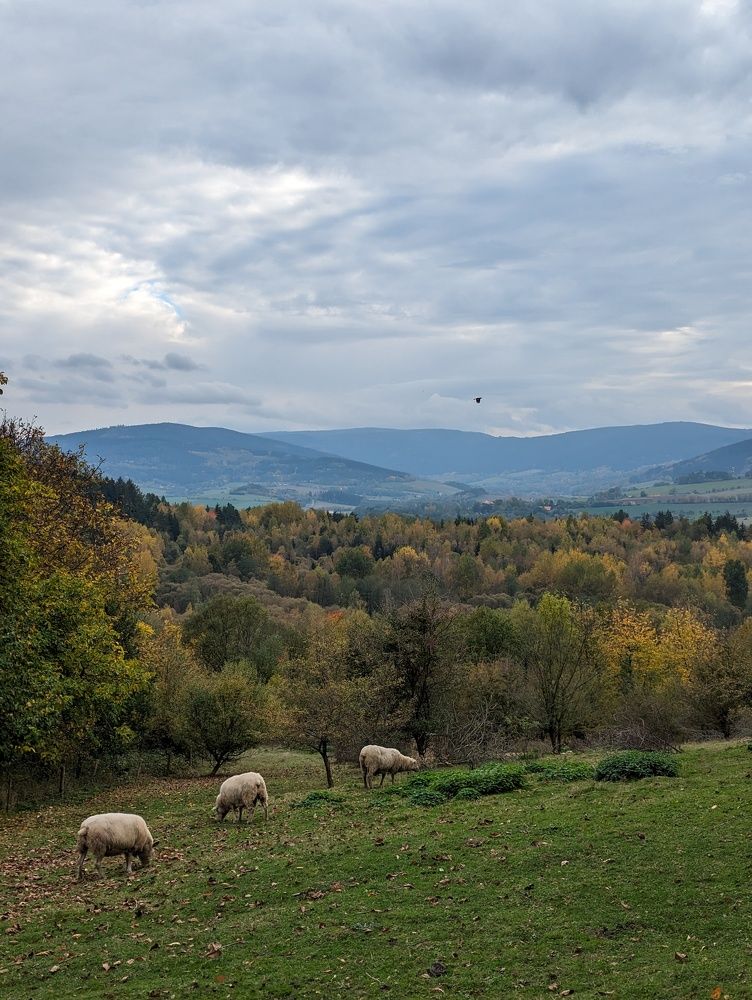 Photograph by Viktoriya Filip