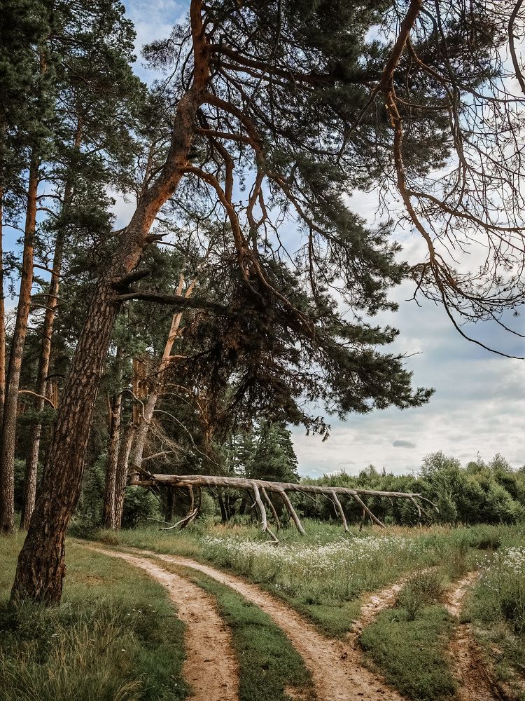 Photograph by Наталья Гришаева