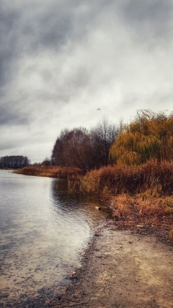 Photograph by Ольга Лазаренко