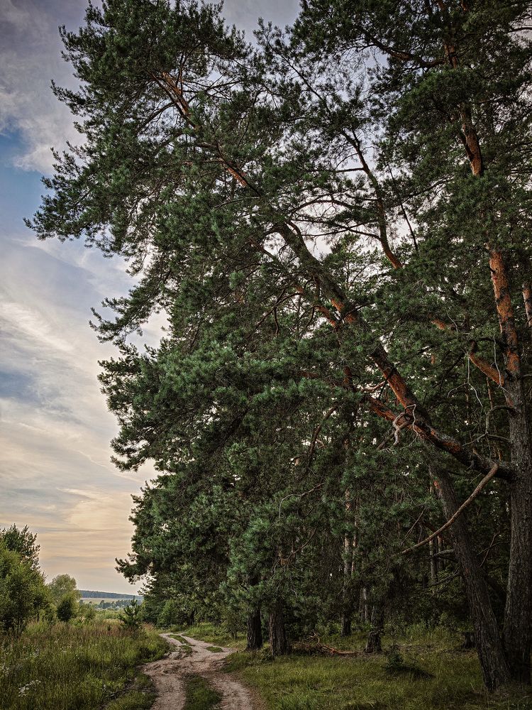 Photograph by Наталья Гришаева