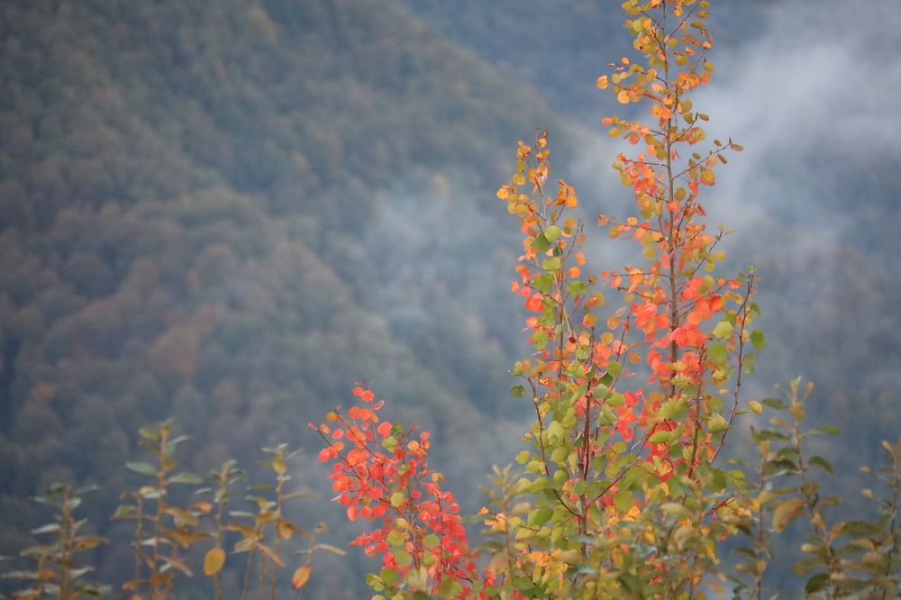 Photograph by Наталья Ермакова