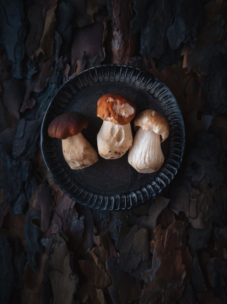 Photograph by Karina Aleksandrova