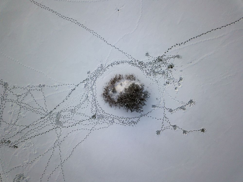 Photograph by Владимир