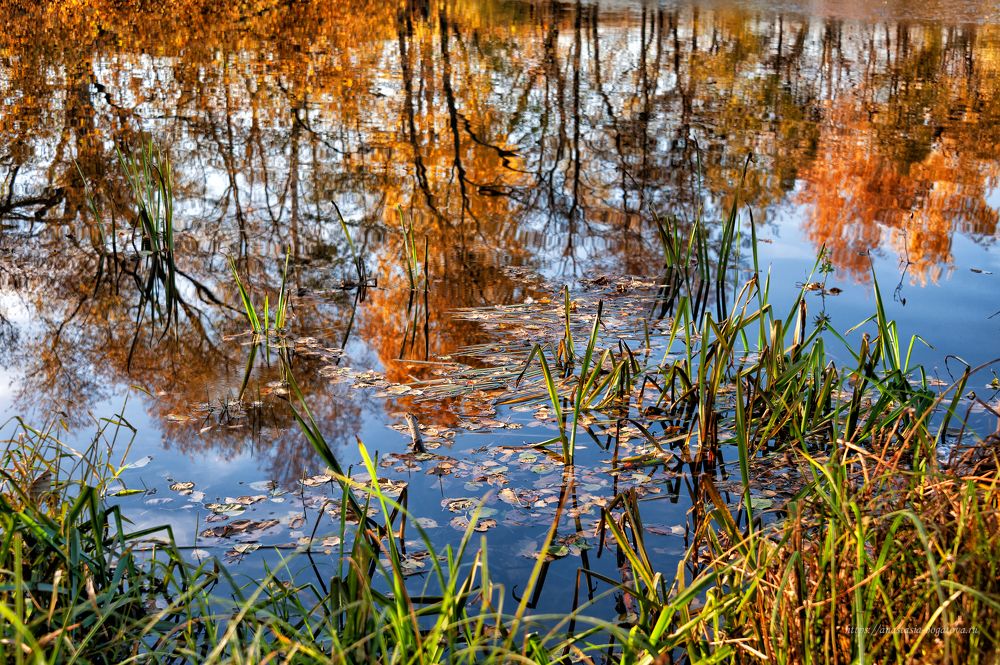 Photograph by Анастасия Богатова