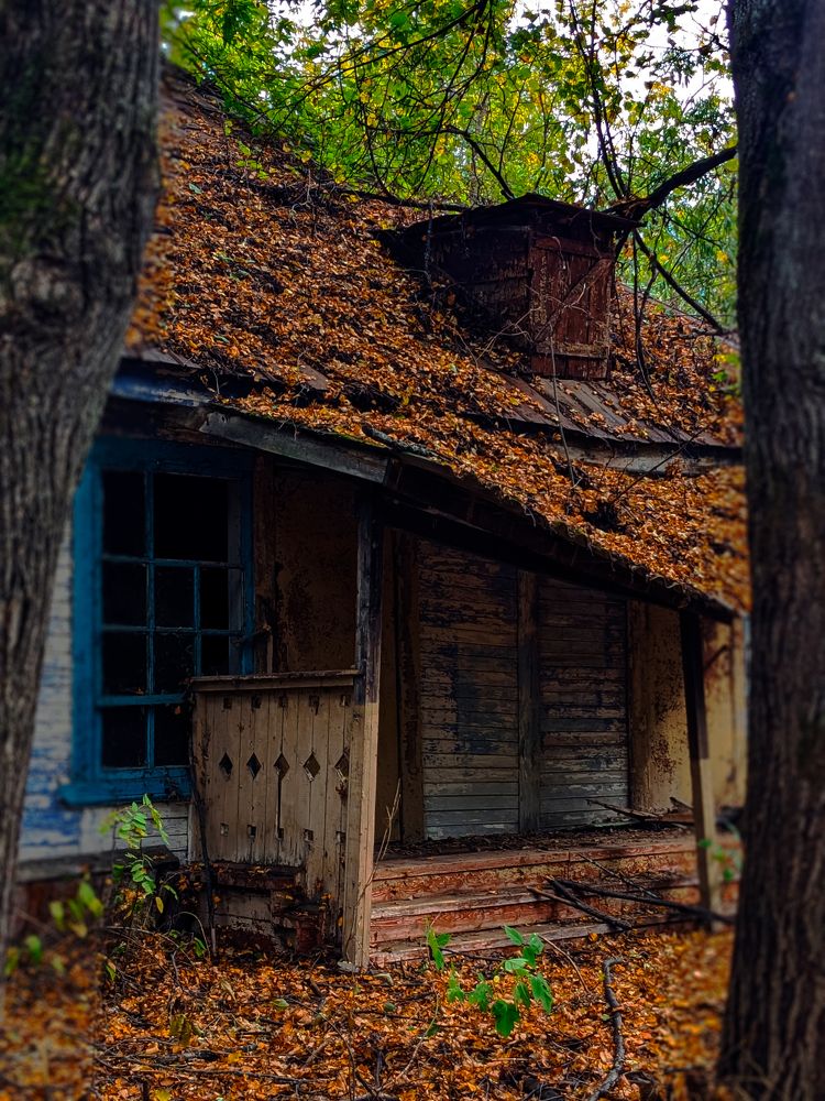 Photograph by PROST