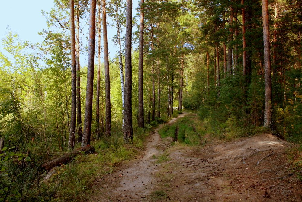 Фотография автора Nelya  Lysenko