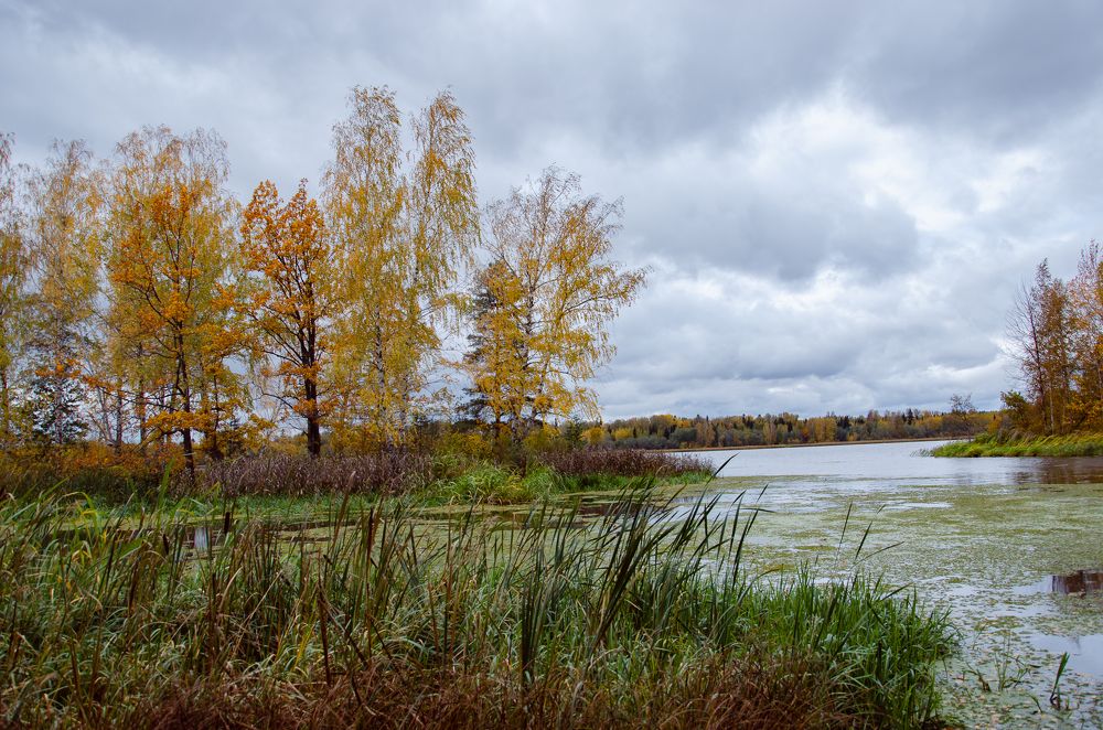 Фотография автора Войнов Дмитрий