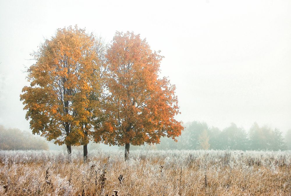 Photograph by Анастасия Богатова