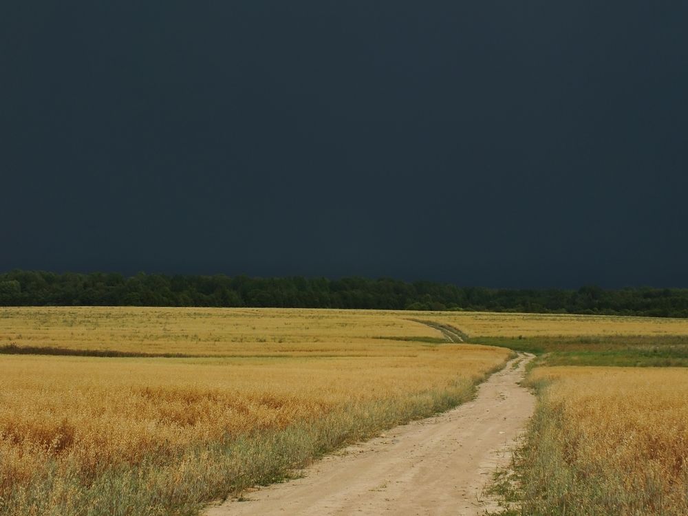 Photograph by 