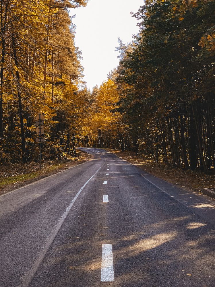 Фотография автора Лариса Гришкевич