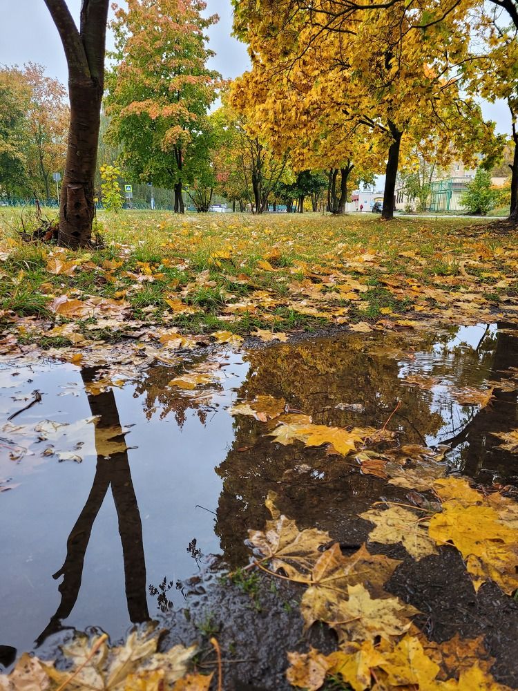 Photograph by Екатерина