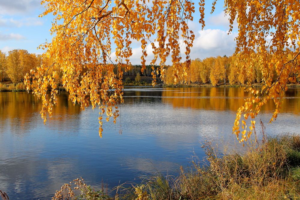 Photograph by Тамара Кремлева