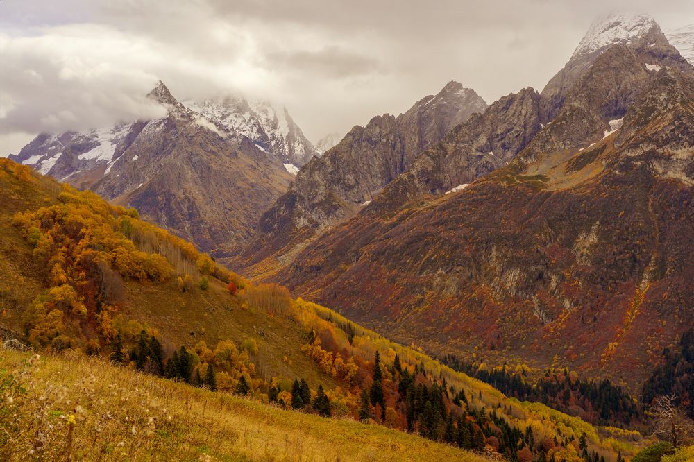 Photograph by Ленгауэр Маша