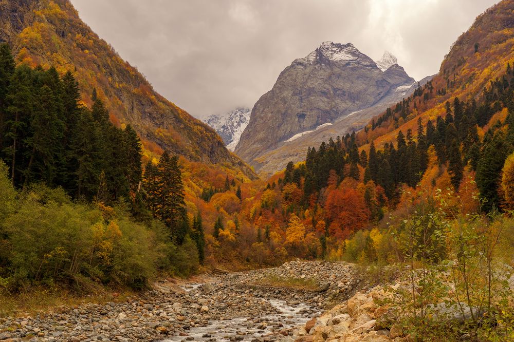 Photograph by Ленгауэр Маша