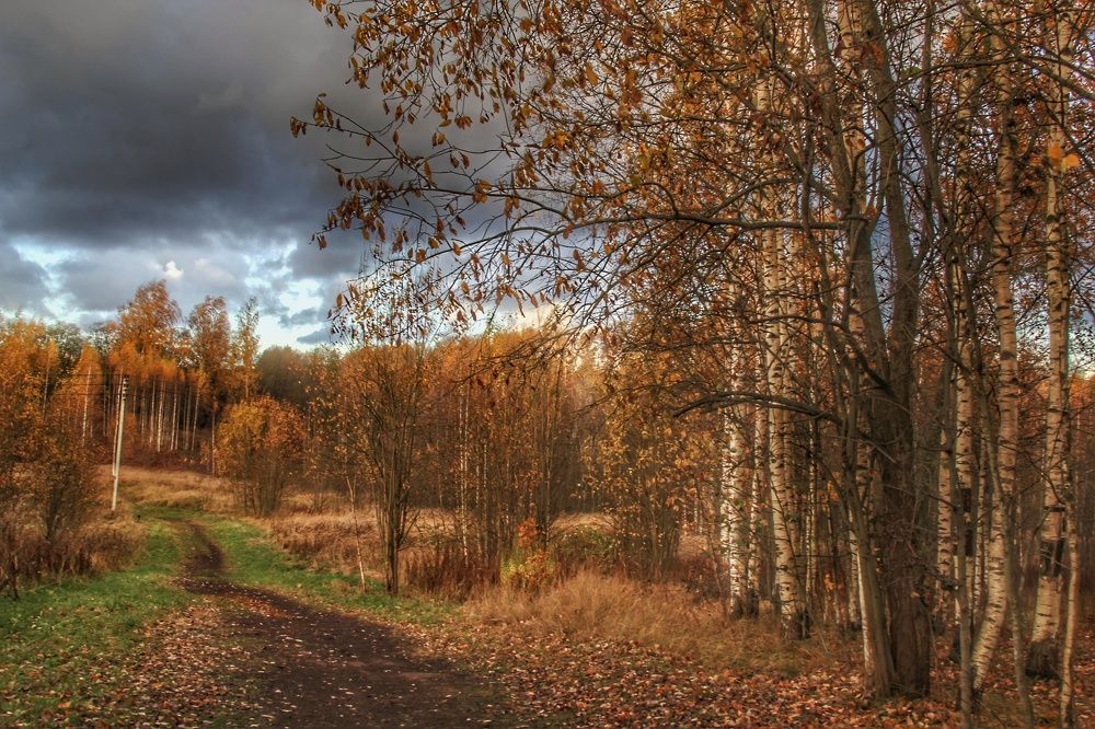 Фотография автора Виктор Крючков