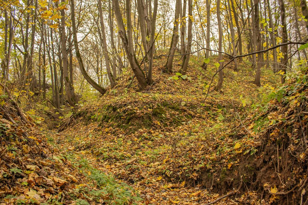 Photograph by Елена Беланенко