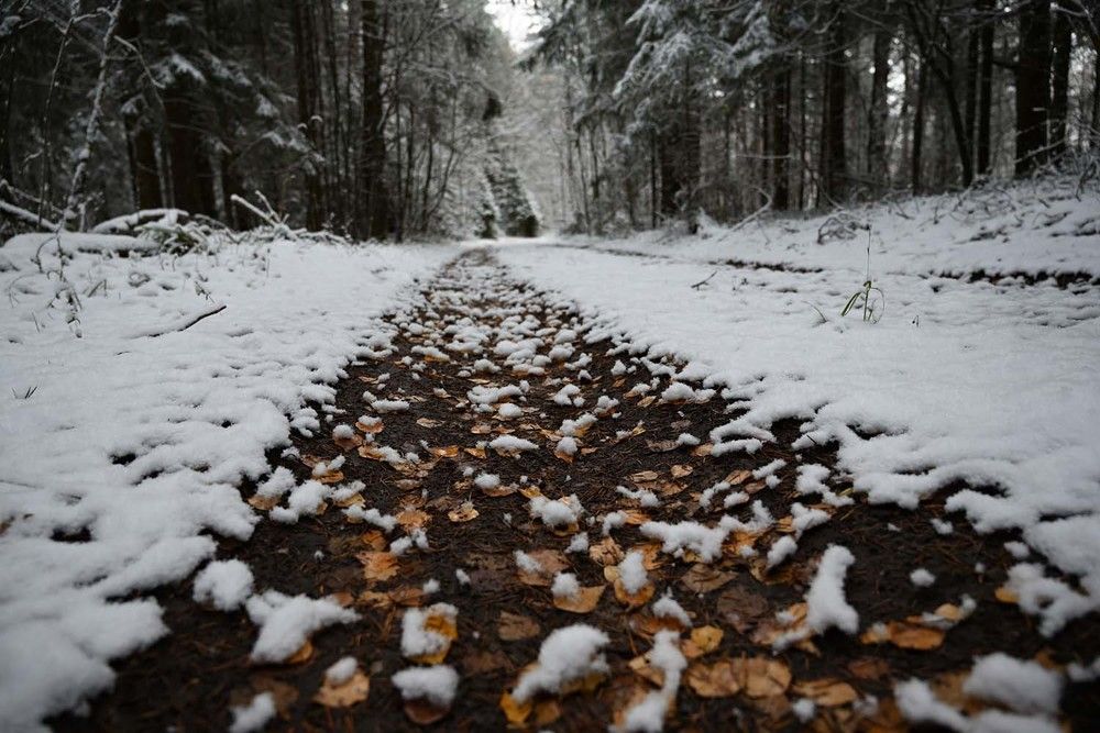 Photograph by Ксения