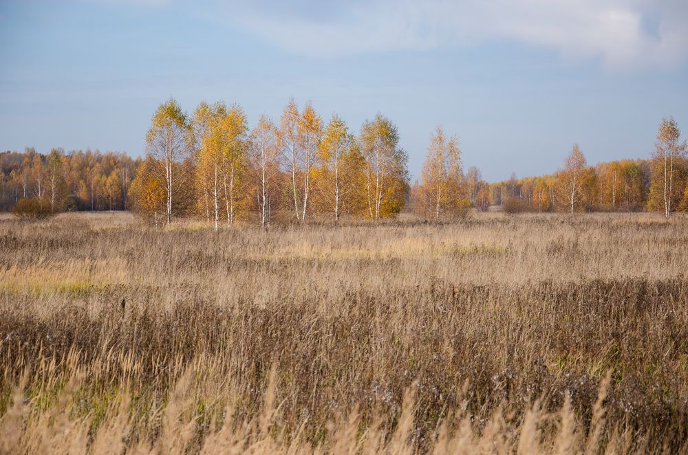 Фотография автора Войнов Дмитрий
