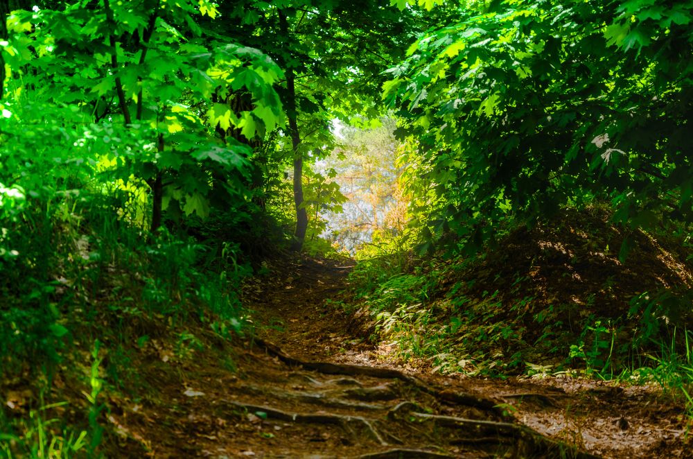 Фотография автора Анастасия Роговцова