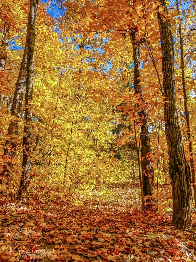 Photograph by Annie Trudel