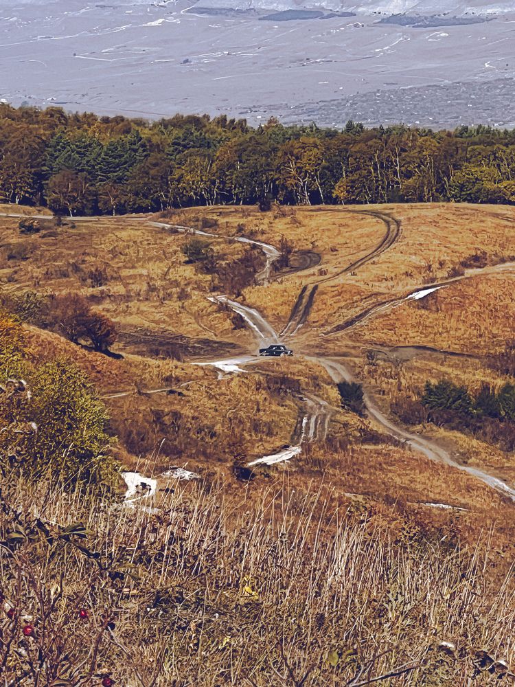 Photograph by Елена