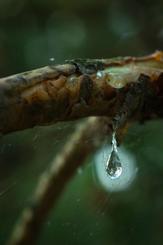 Фотография автора Дмитрий Овчинников