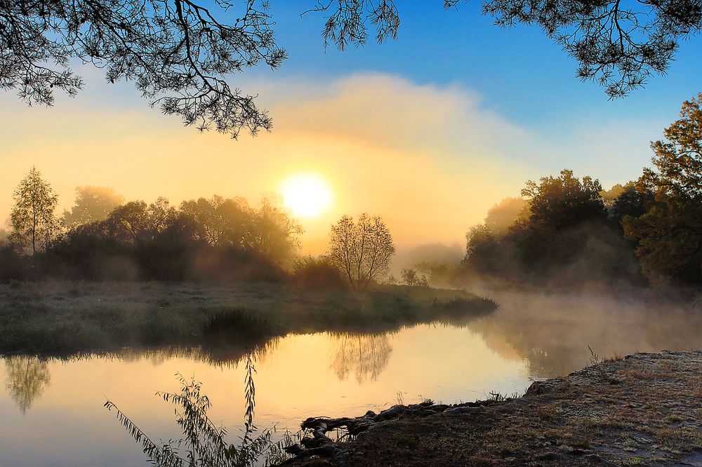 Осени туманные рассветы.