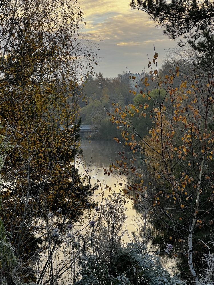 Photograph by Елена