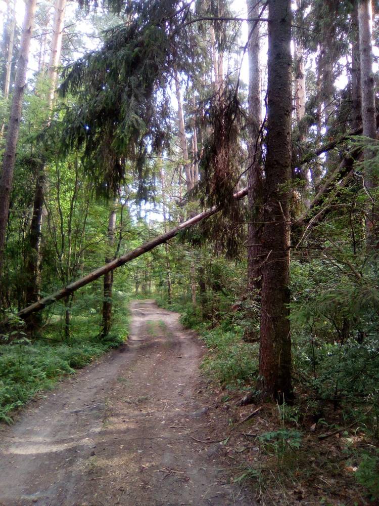 Photograph by Светлана Петрова