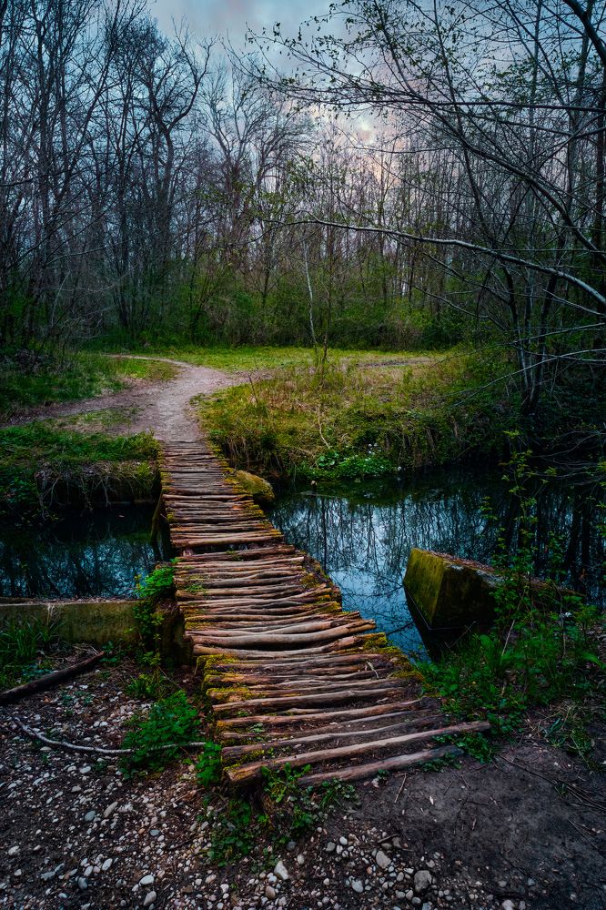 Photograph by Александр Алифанов