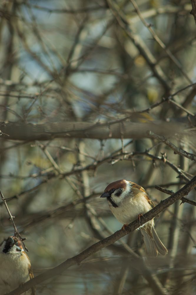 Фотография автора Дмитрий Овчинников