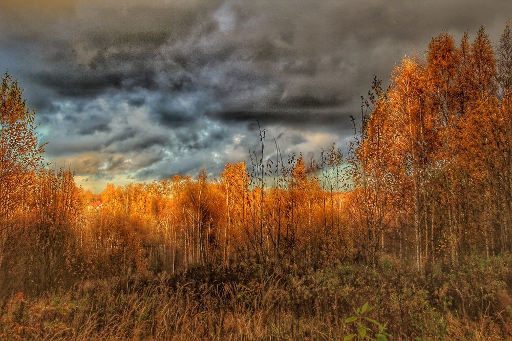 Фотография автора Виктор Крючков