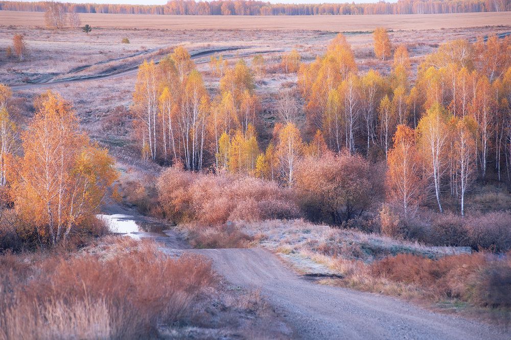 Фотография автора Petrova Anastasia