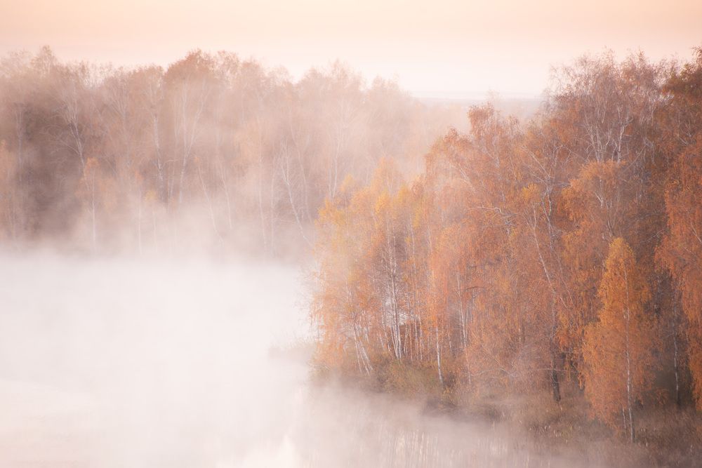 Photograph by Petrova Anastasia