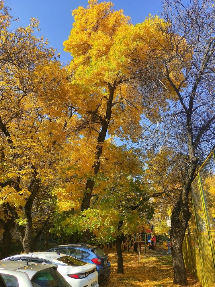 Photograph by Олеся