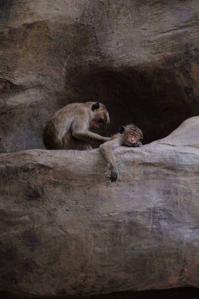 Photograph by Аида Фай