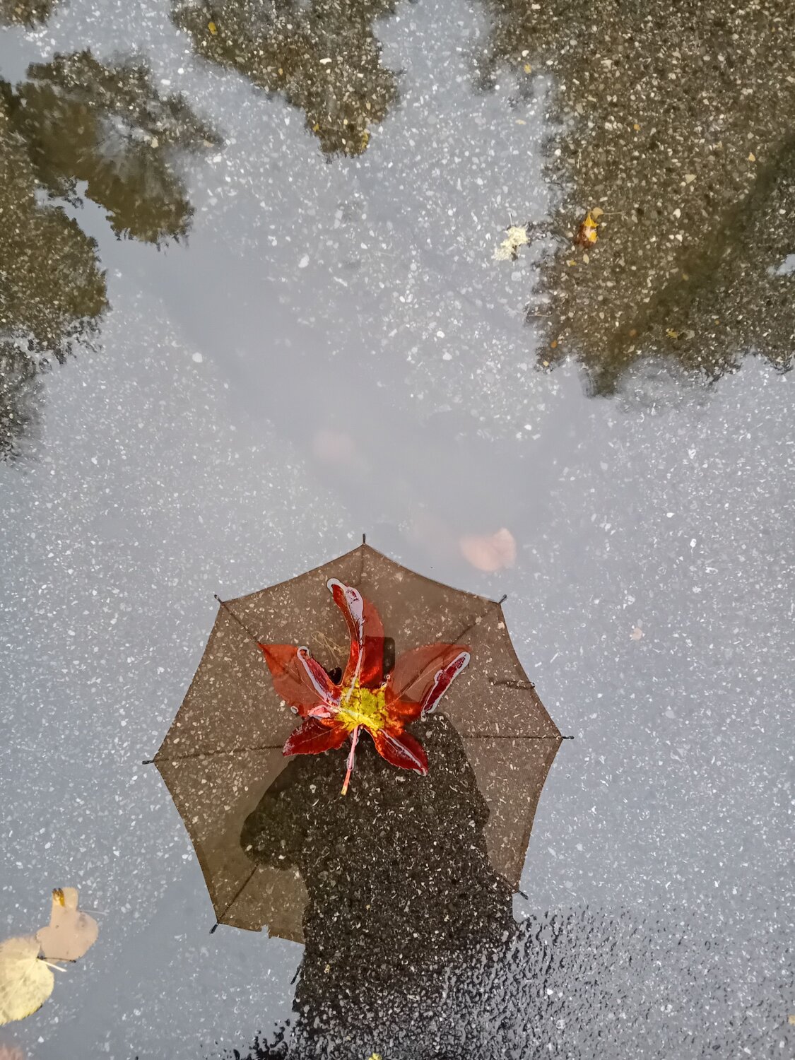 Photo #11234411