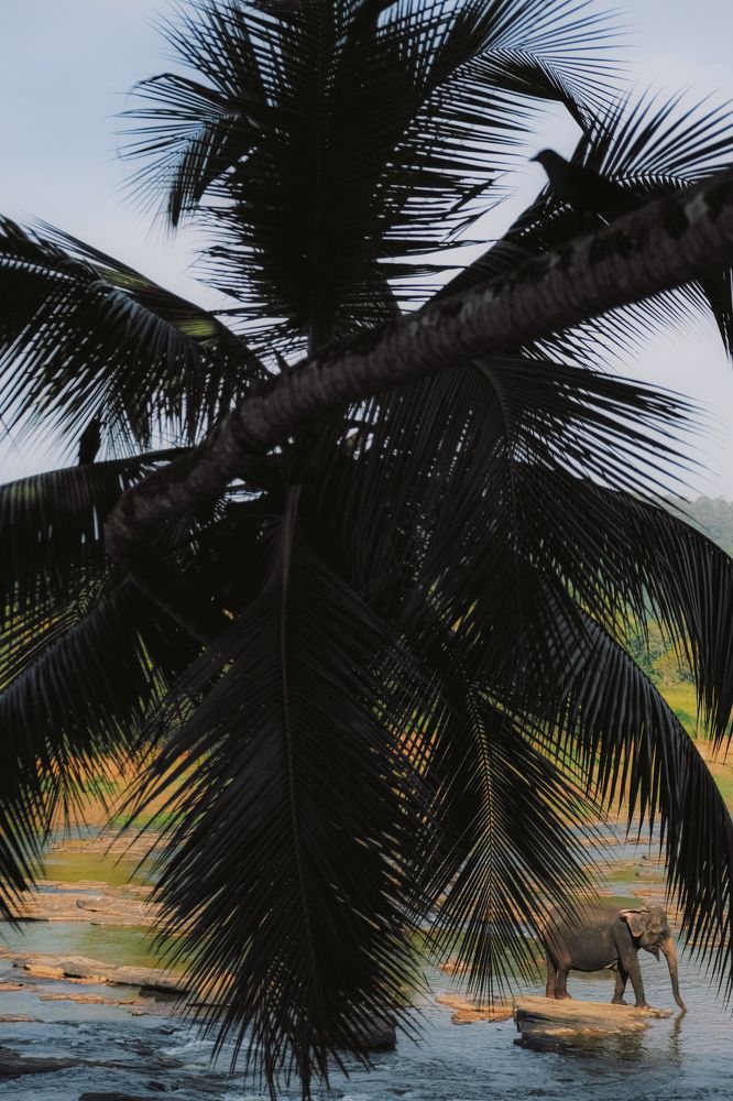 Photograph by Аида Фай