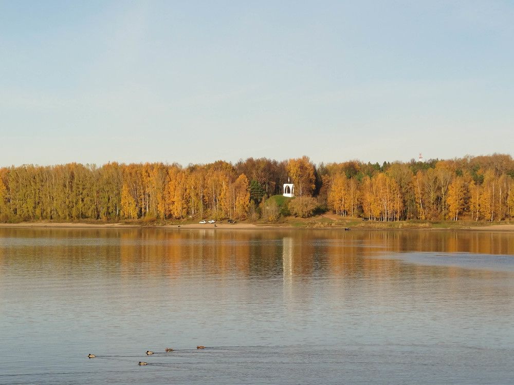 Фотография автора Ирина Дашевская