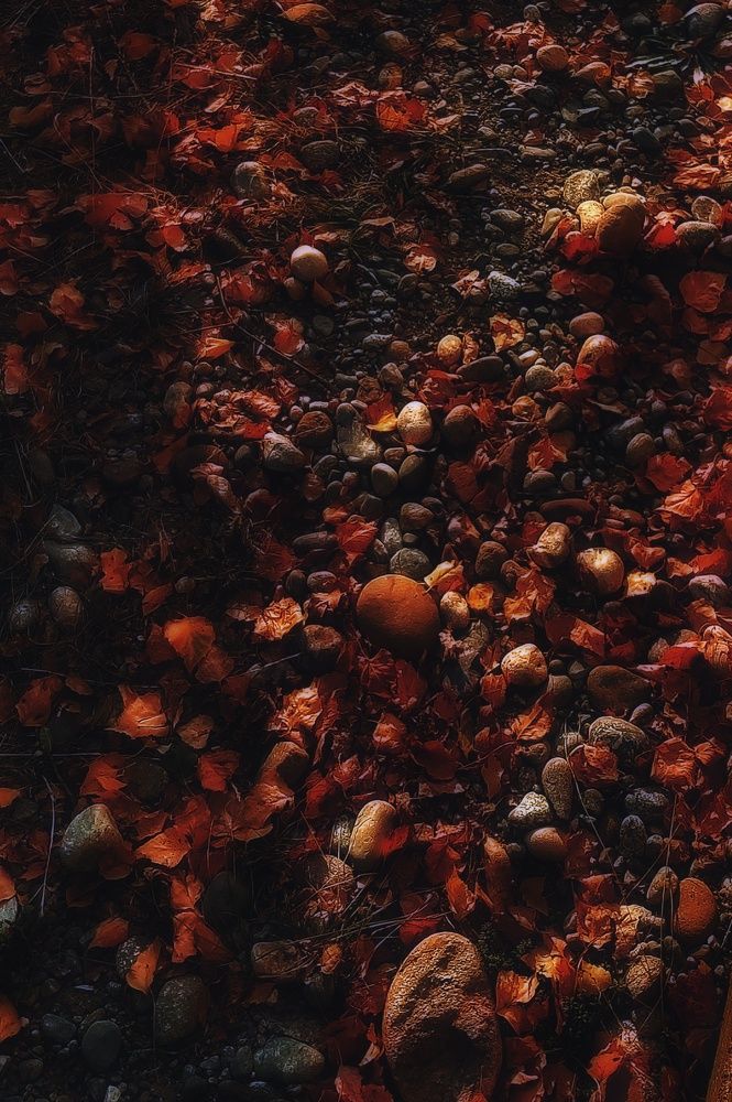 Фотография автора Шамиль