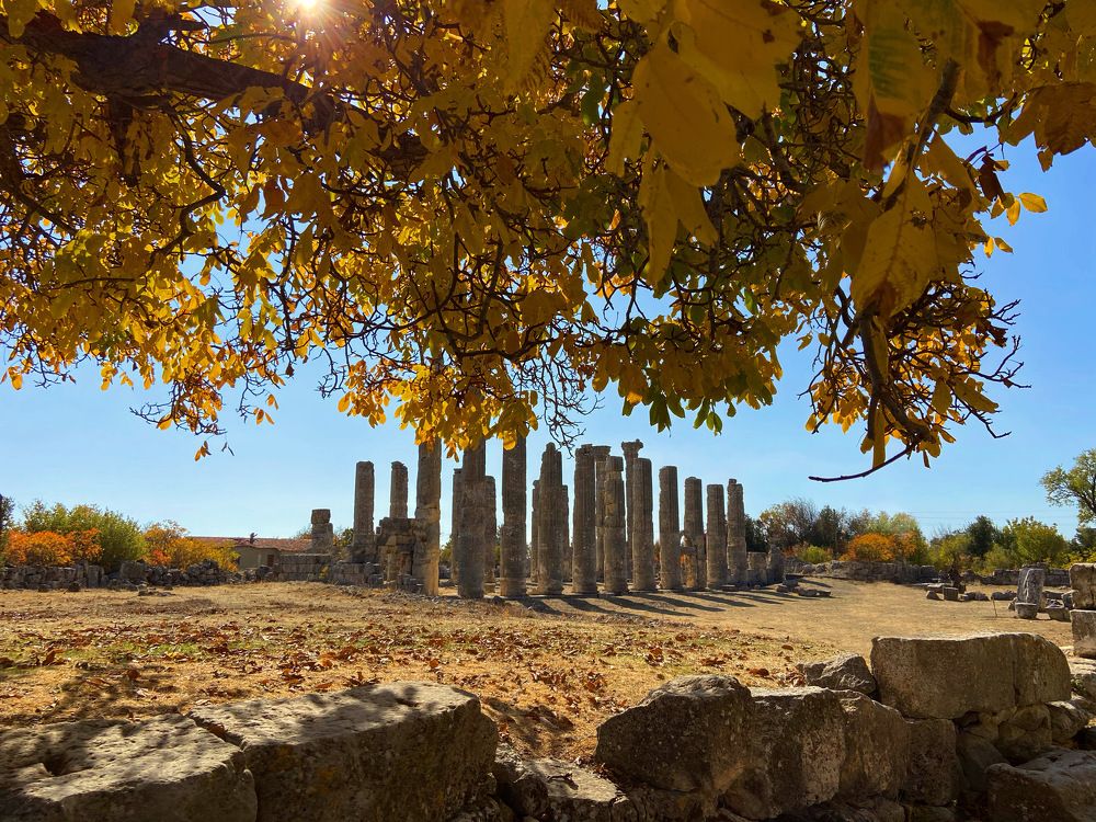 Храм Зевса Олбиуса осенью