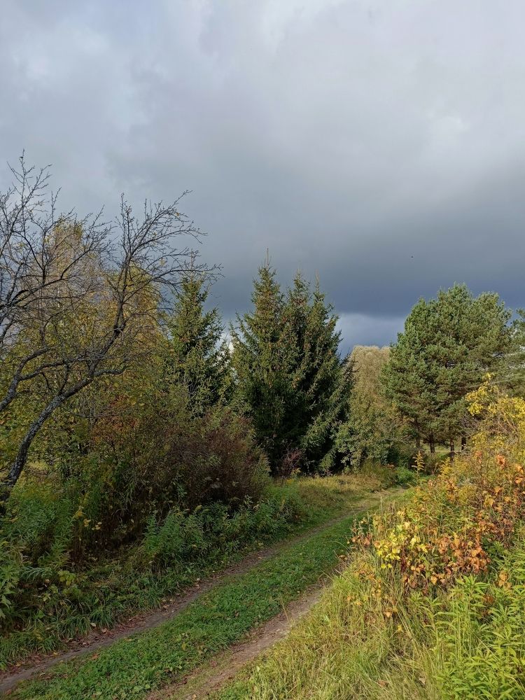 Фотография автора Татьяна Лука