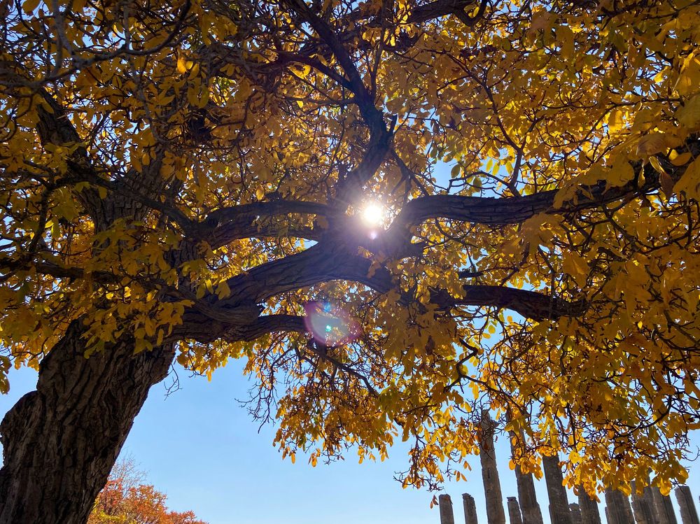 Осень у византийских развалин