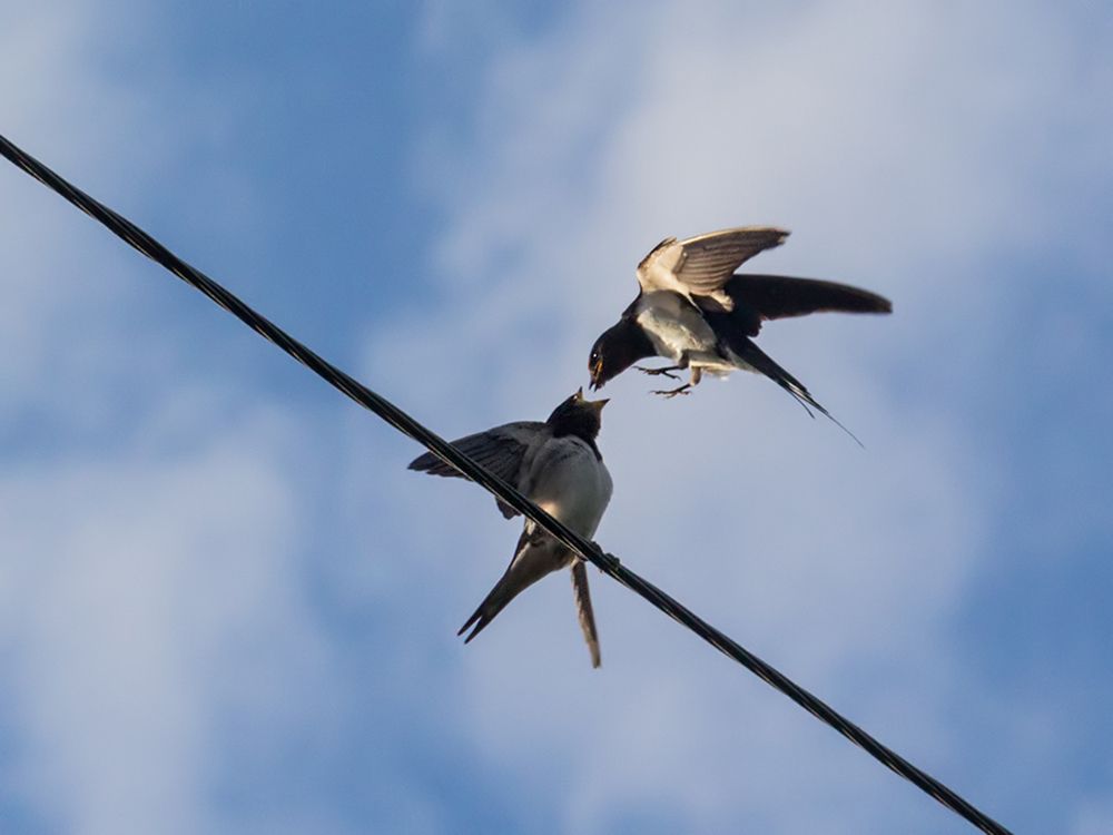 Фотография автора Борис Журавлёв