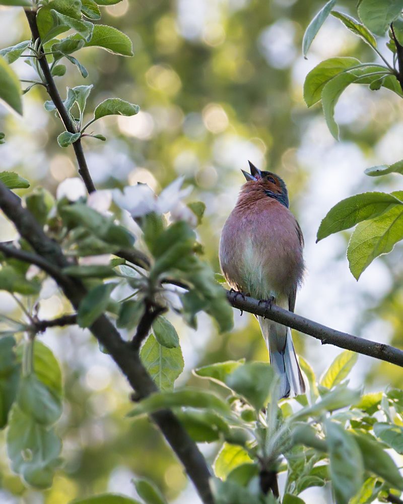Фотография автора Борис Журавлёв