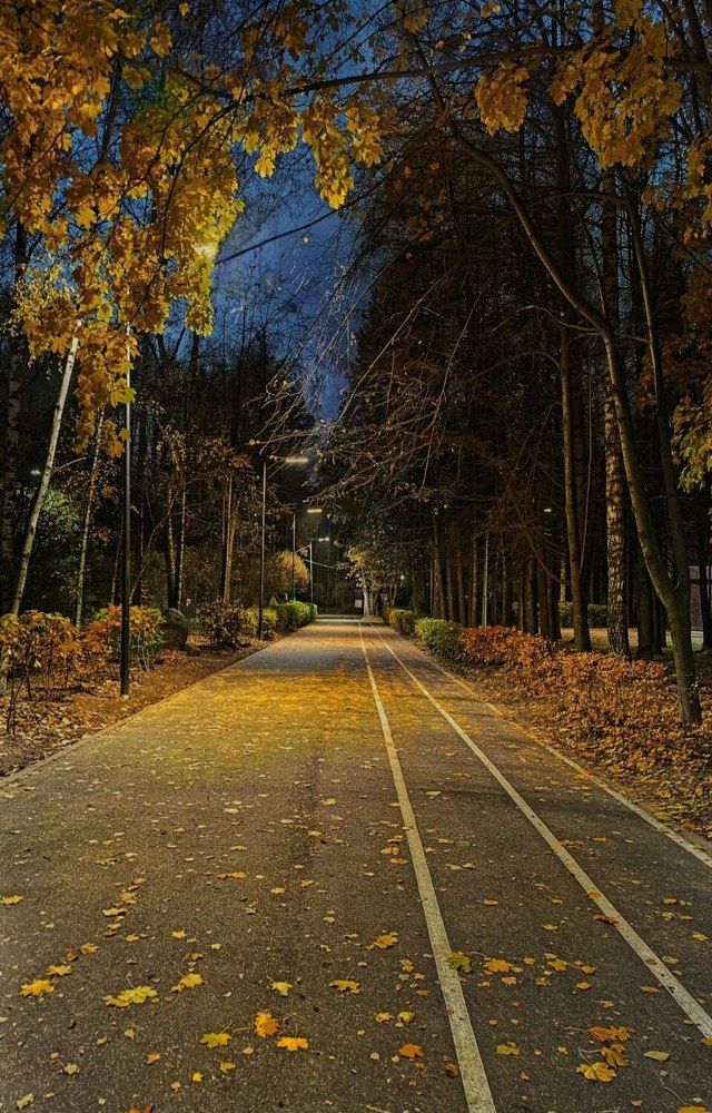 Photograph by Елена