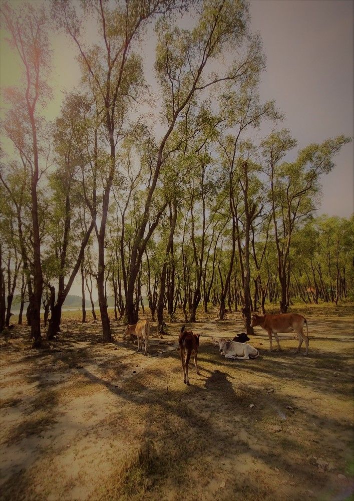 Photograph by Florence Rozario