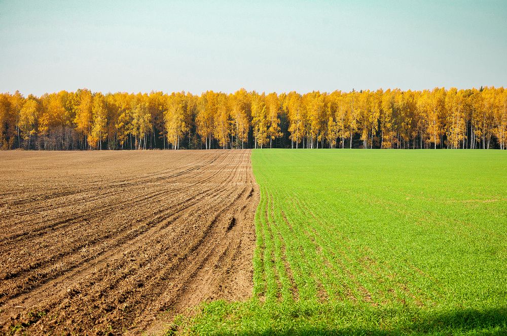 Photograph by Галина