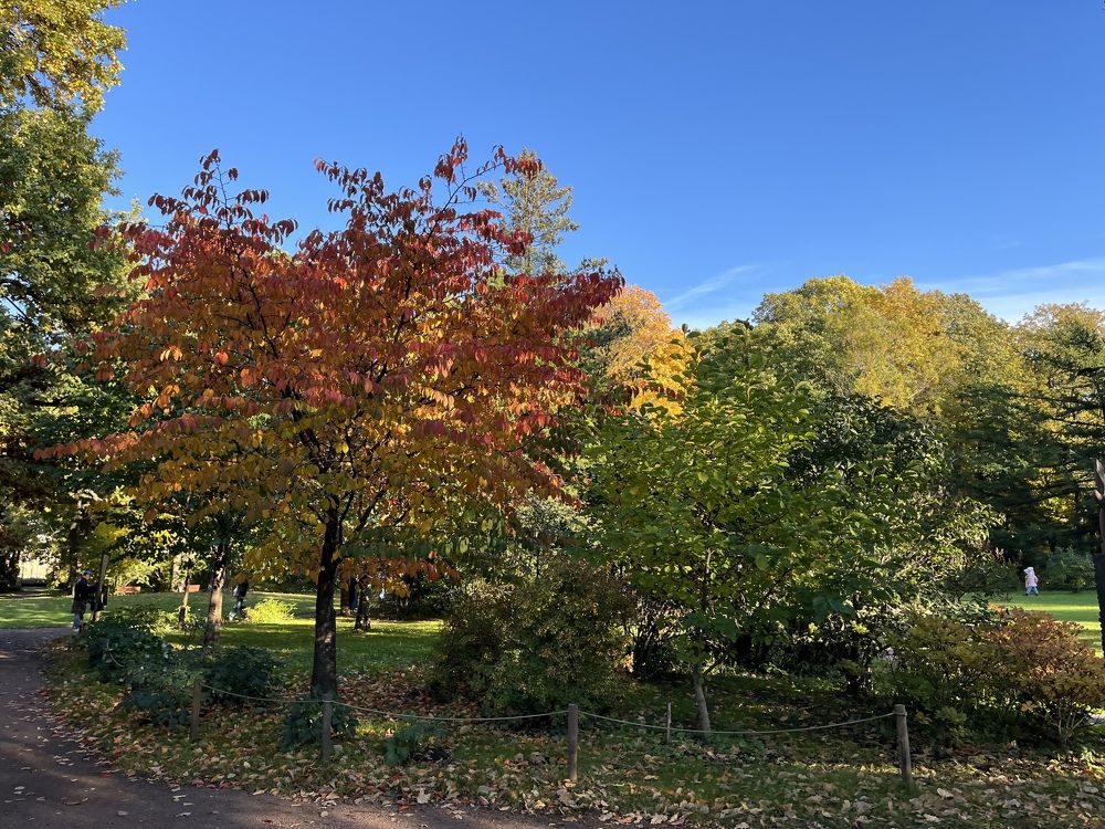 Photograph by Болдырева Ольга